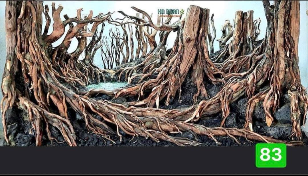 流木　ブランチウッド水草用の 流木　アクアリウム　パルダリウム　マシンガンウッド