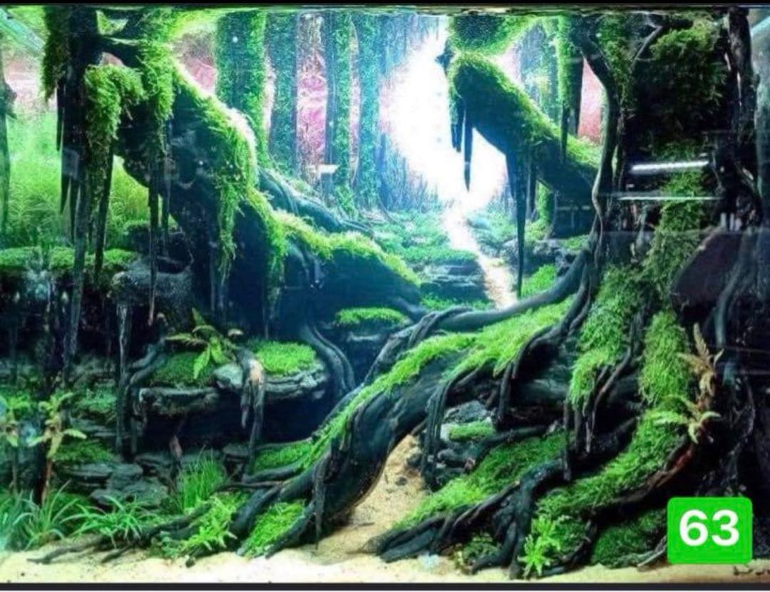 流木　ブランチウッド水草用の 流木　アクアリウム　パルダリウム　マシンガンウッド