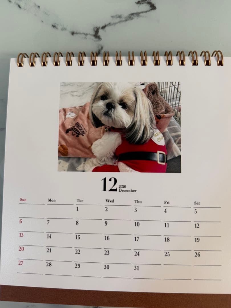 シーズーちくわの卓上カレンダー【オリジナル】