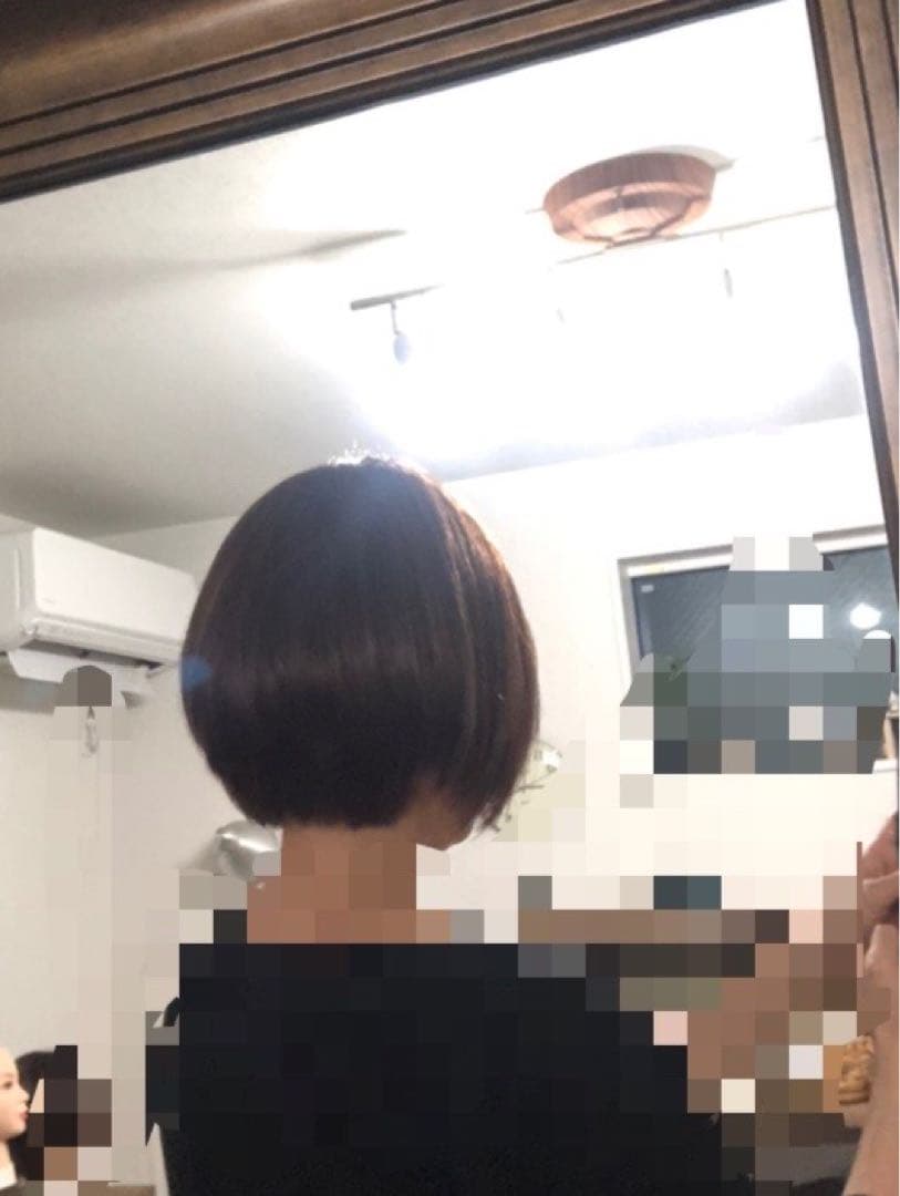 人毛100% ショートボブ　ブラウン前髪あり　未使用