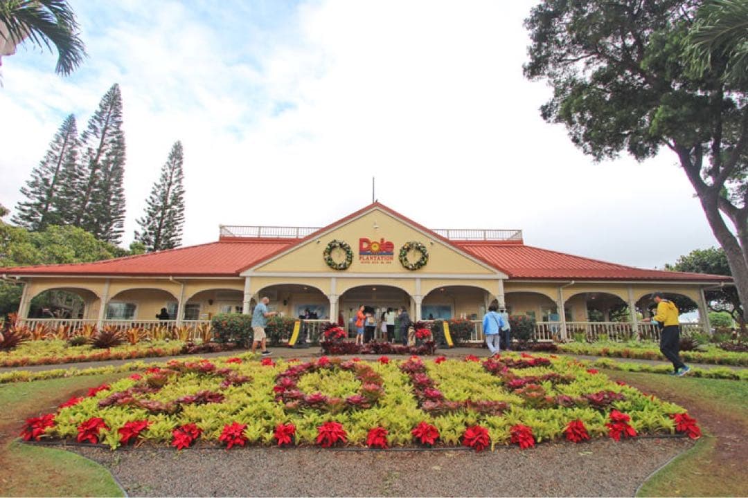 匿名配送 ドール プランテーション限定 日焼けキティ 大