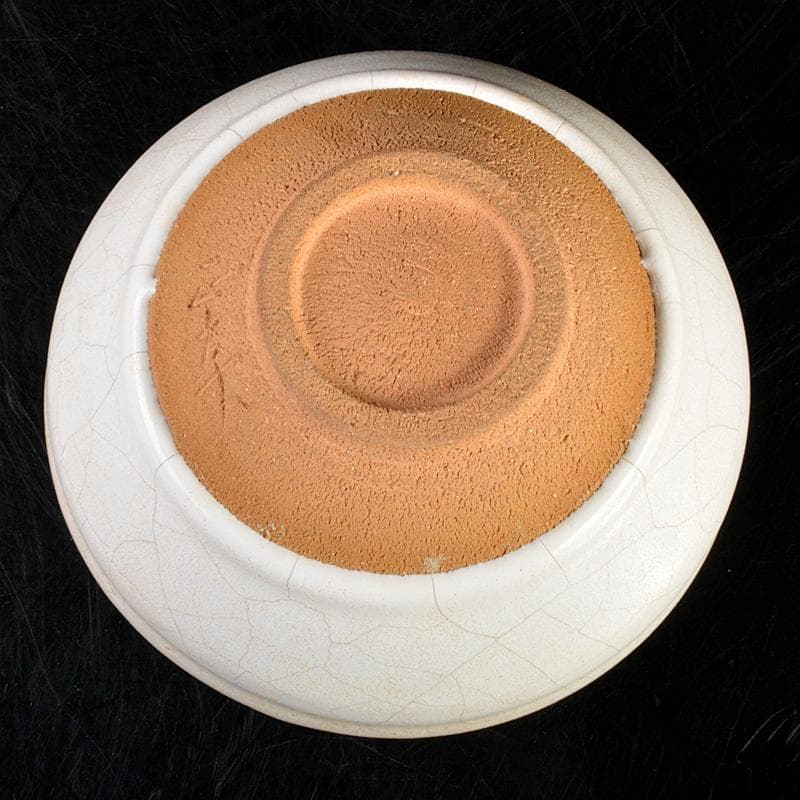 茶道具　矢田正炎作　白天目茶碗　共箱　Ｃ　6673