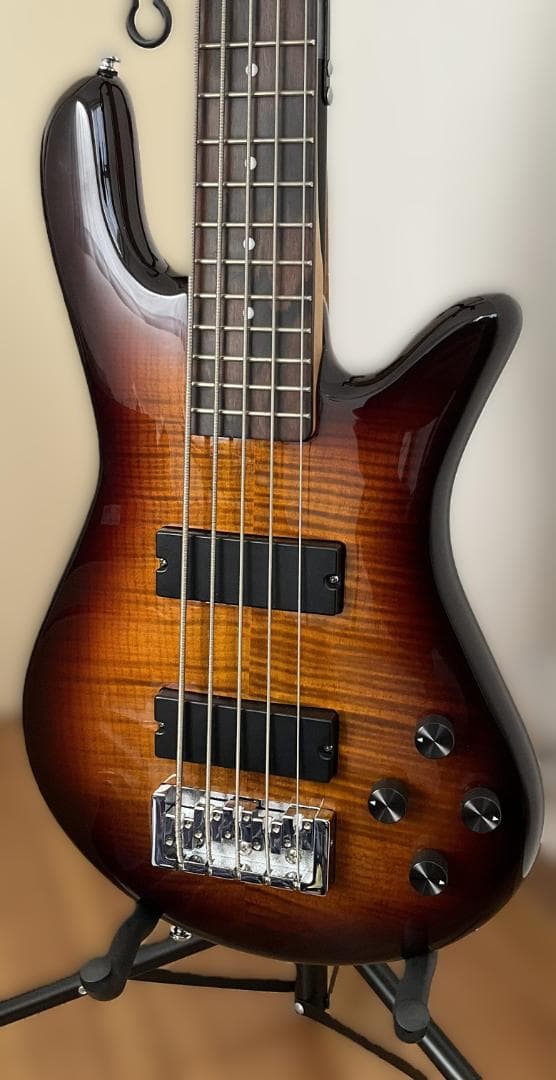 【美品・送料込】Spector 5弦ベース