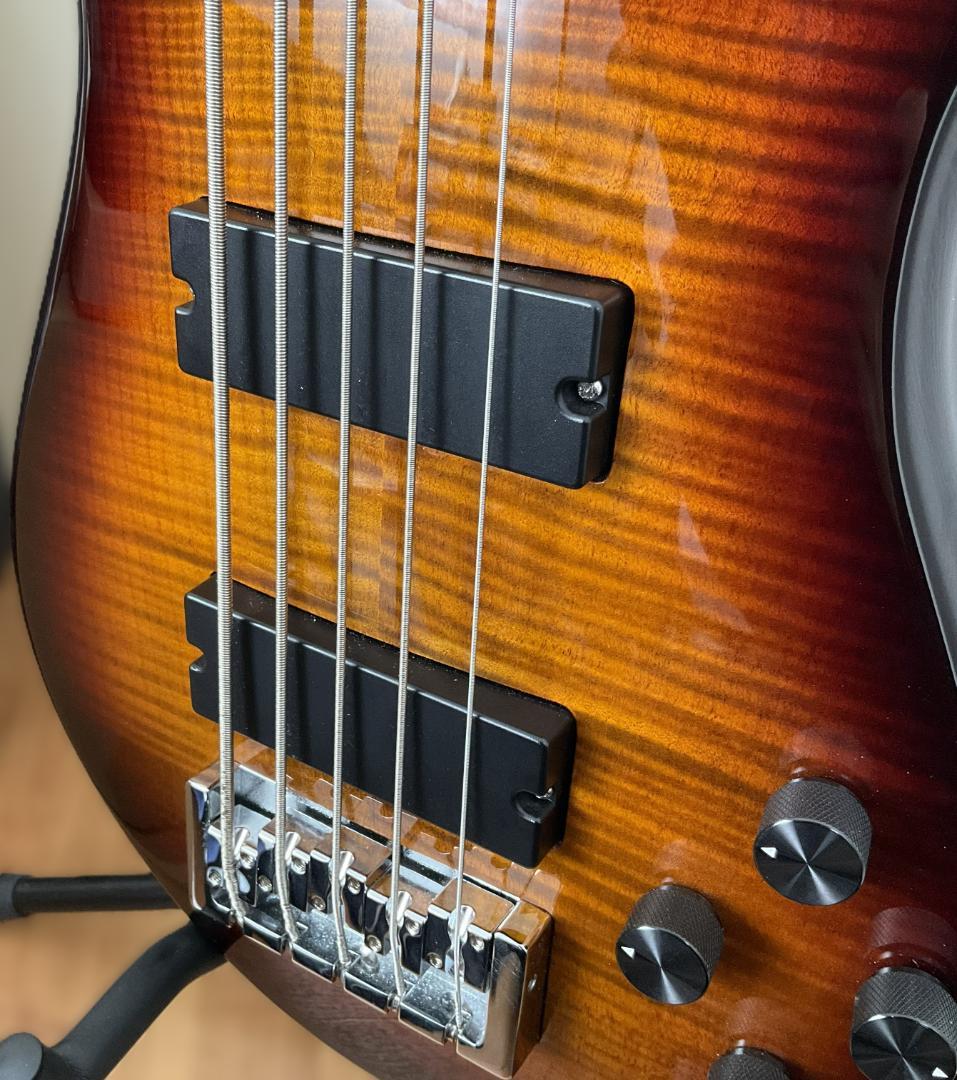 【美品・送料込】Spector 5弦ベース