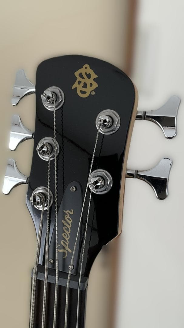 【美品・送料込】Spector 5弦ベース