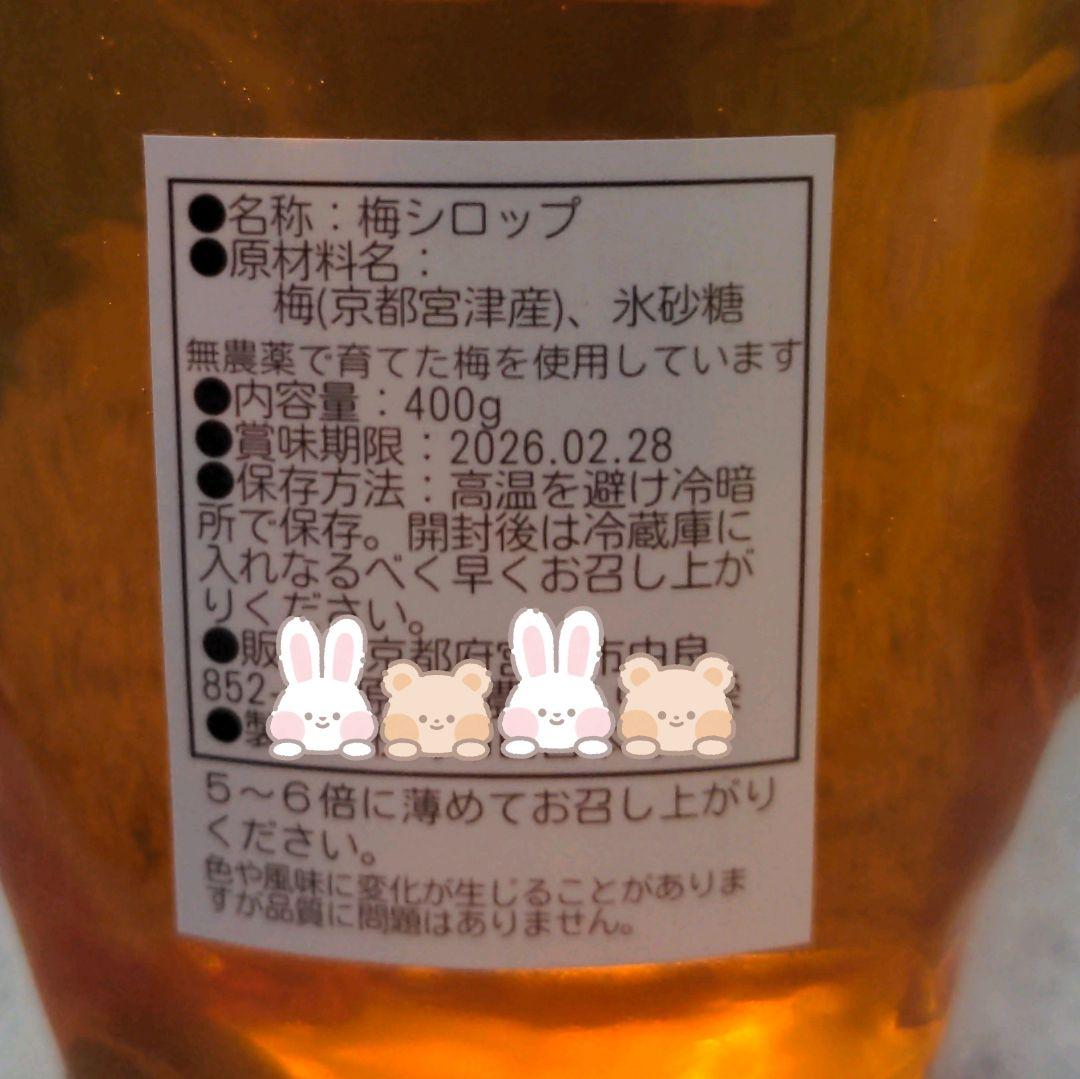 自然の美味しい梅ジュースの素（梅シロップ)x10