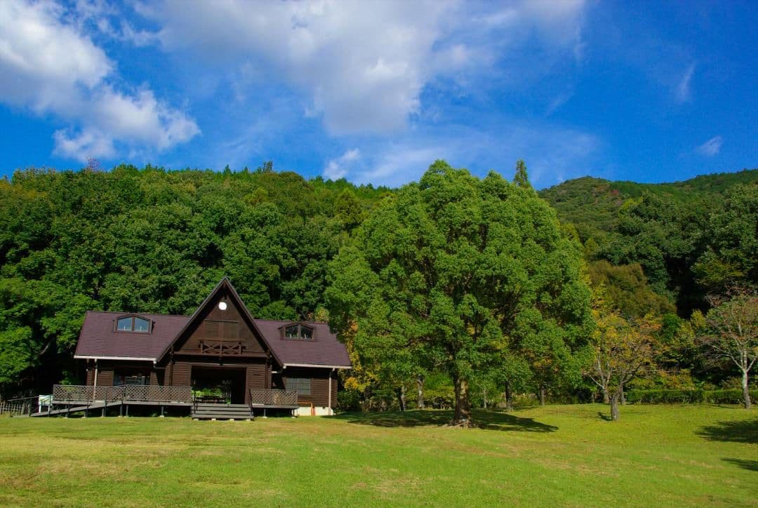 PENTAX K-10d 標準ズームレンズ付