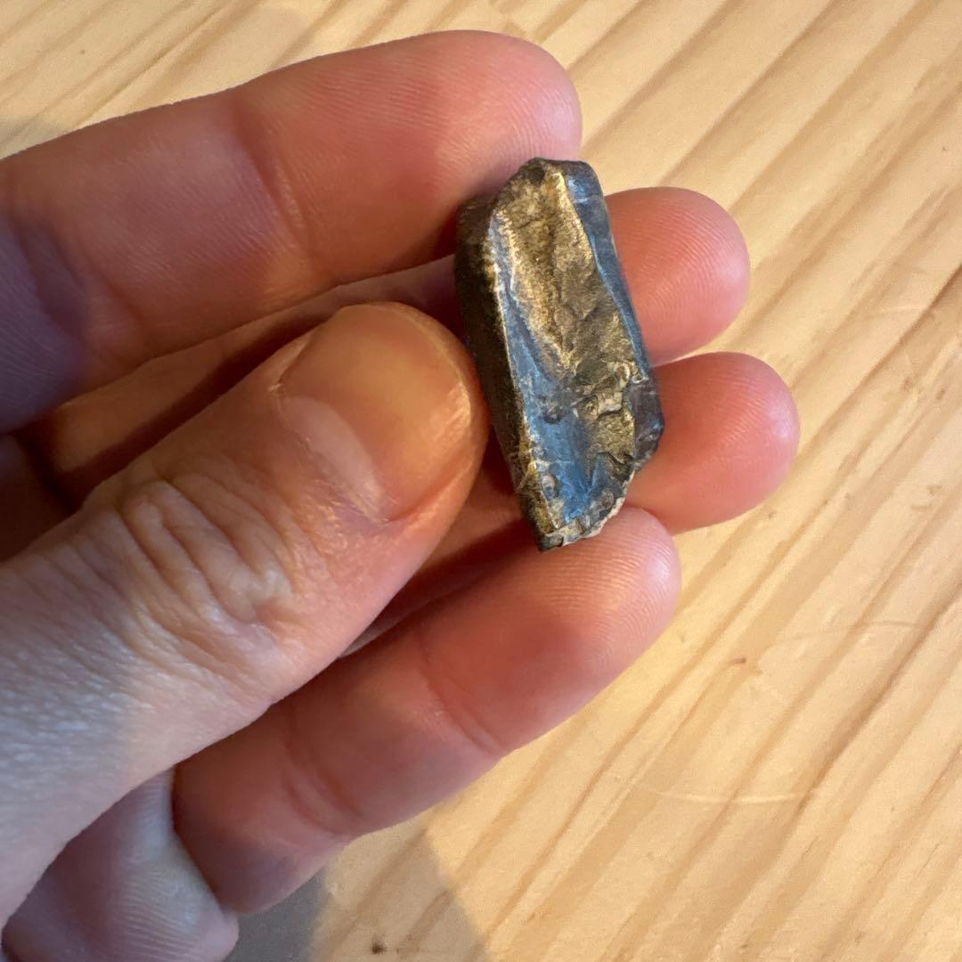 お買い得　オウラノサウルスの歯　化石　ニジェール