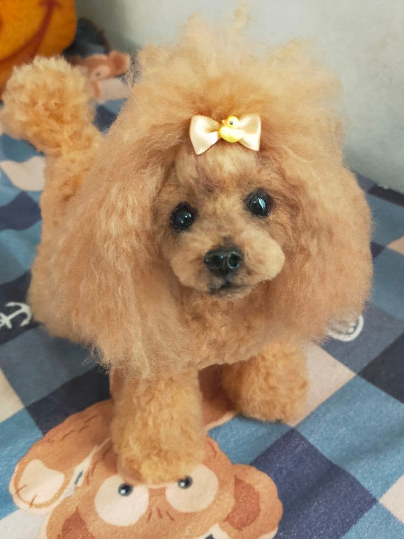 送料込み♡トイプードルレッドちゃん♡