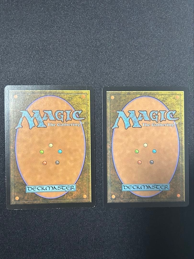 【2枚セット】霧深い雨林_FOIL_EXP