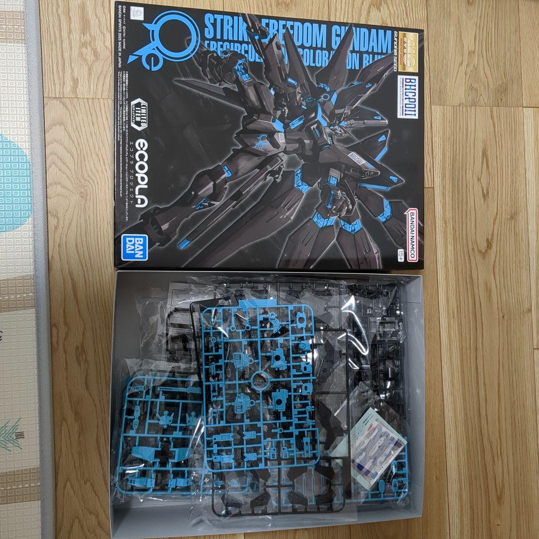 MG ストライクフリーダムガンダム BHCPDII