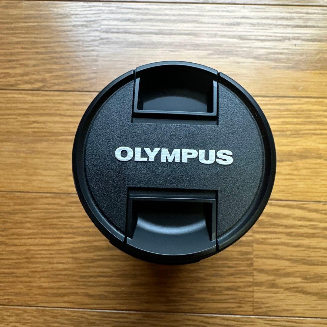OLYMPUS PEN ED-75 300mm レンズフードおまけ付き