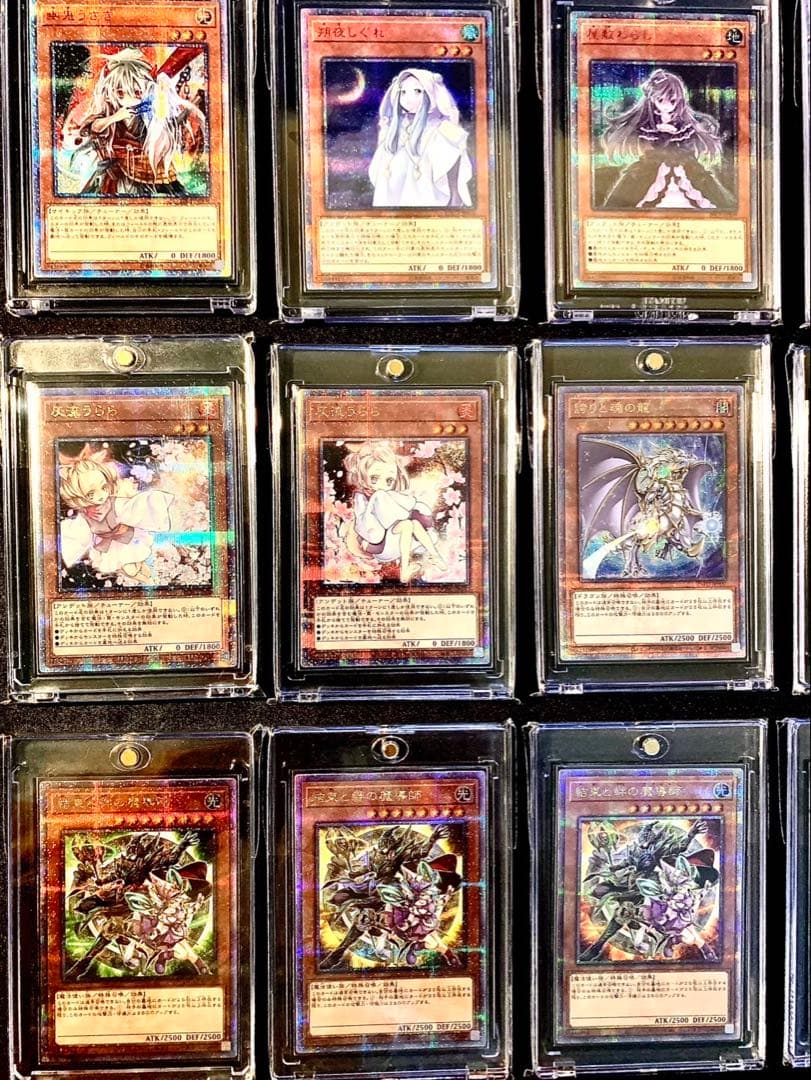 C【極美品】遊戯王20th 25th クオシシークレットホログラム40枚