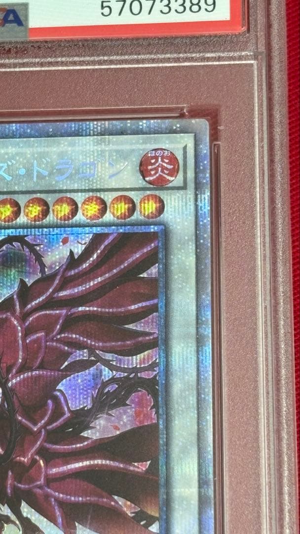 遊戯王 PSA 10 ブラッドローズドラゴン プリズマティックシークレットレア