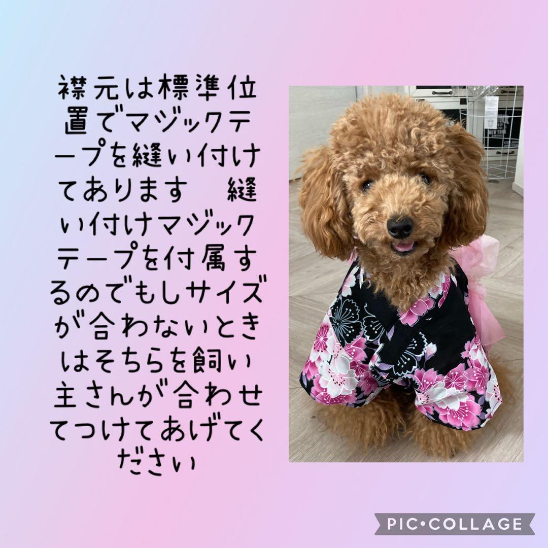 サイズ感イメージ　ハンドメイド 和柄 犬服　犬 着物　浴衣　和服　お祭り　夏