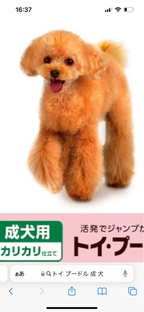 確認よろしくお願いいたします❤️