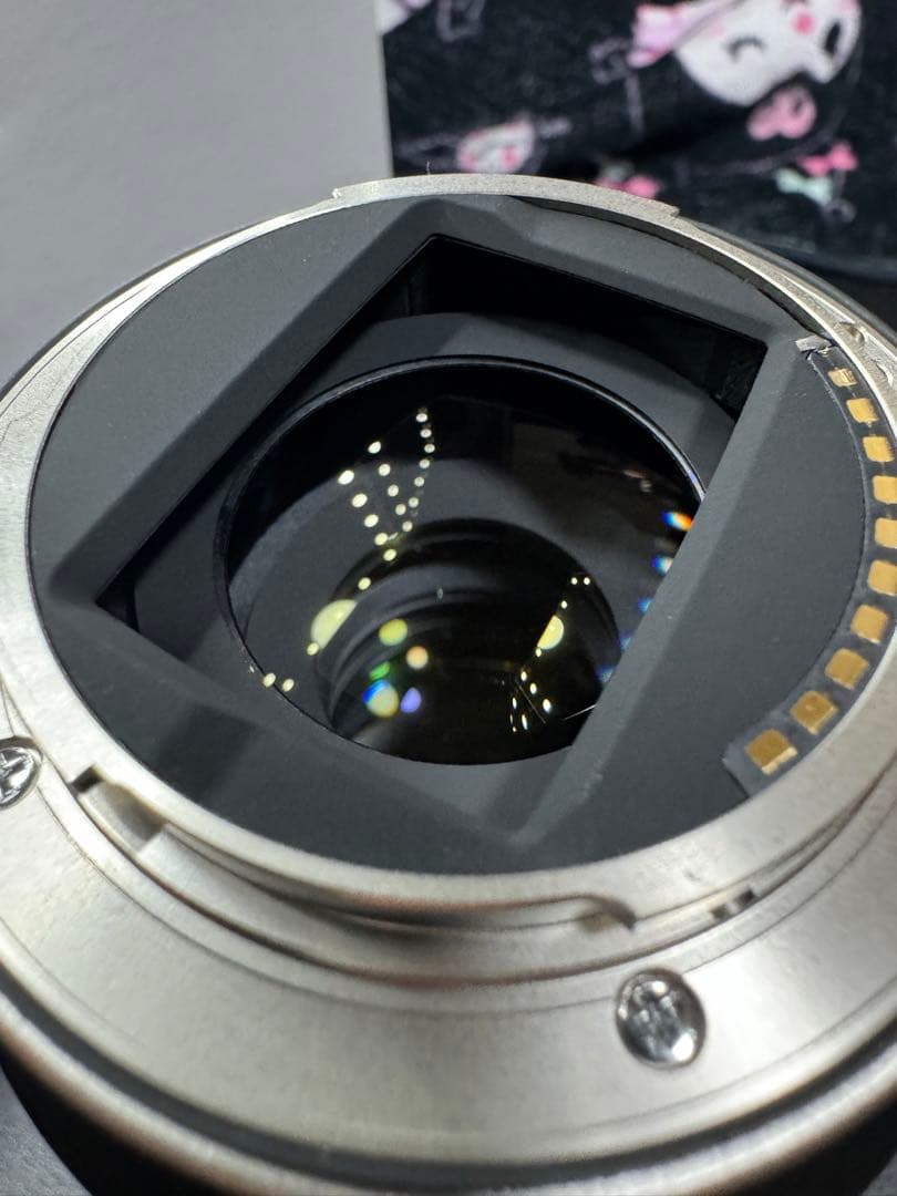 レンズ(ズーム) tamron SONYE 17-70mm f2.8