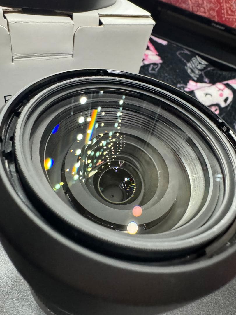 レンズ(ズーム) tamron SONYE 17-70mm f2.8