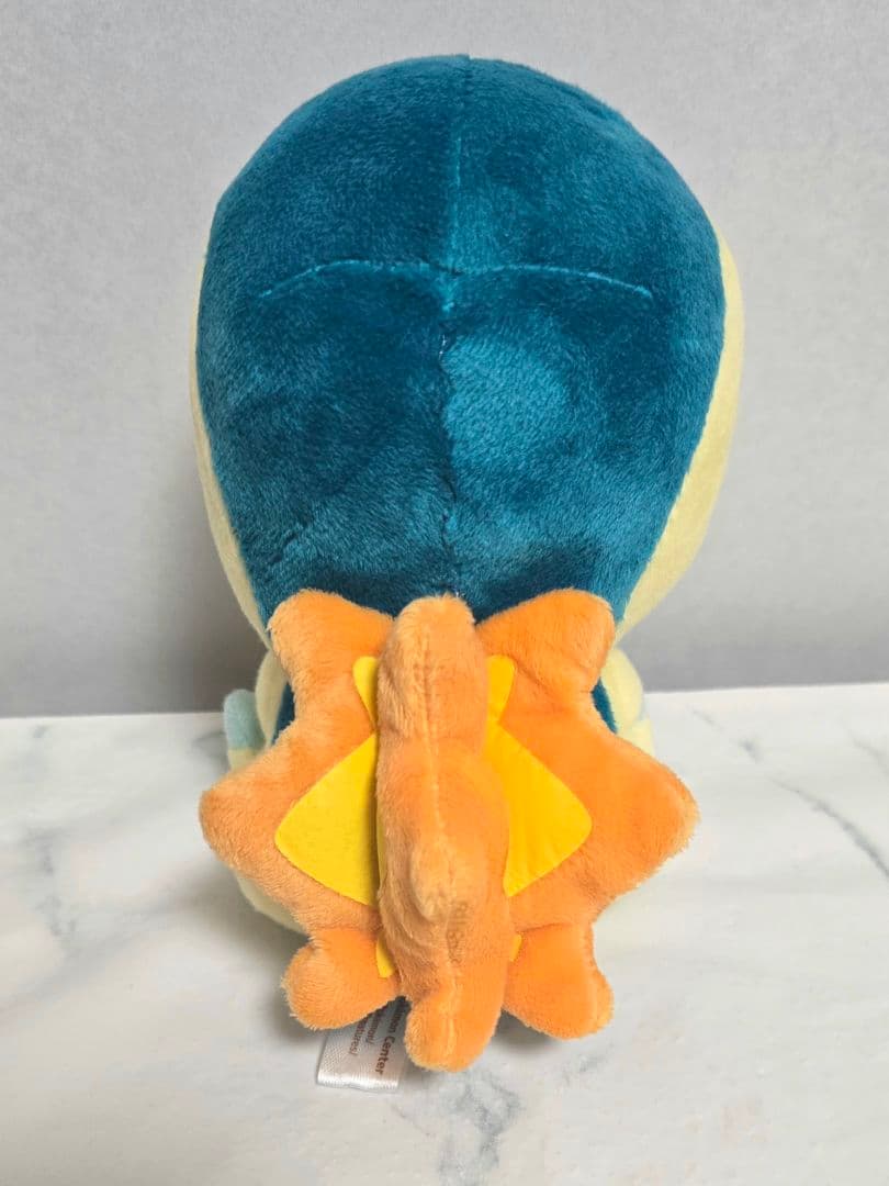 ヒノアラシドール　ポケセン