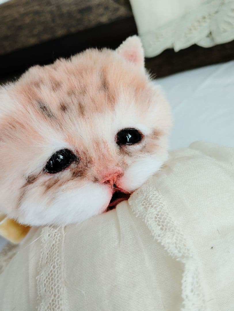 １体限定❤マンチカン子猫ちゃん♡ぽちゃボディ♡よちよちあんよ♡アートドール♡