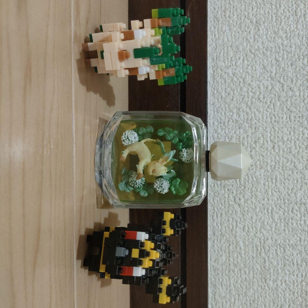 ブラッキー リーフィア ぬいぐるみ セット