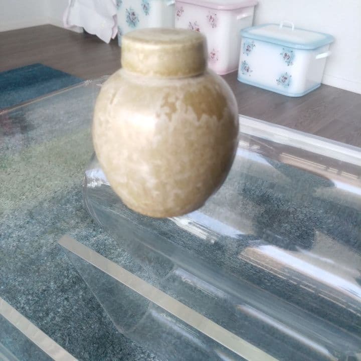 茶道具 茶入れ 茶壺 螺鈿 希少