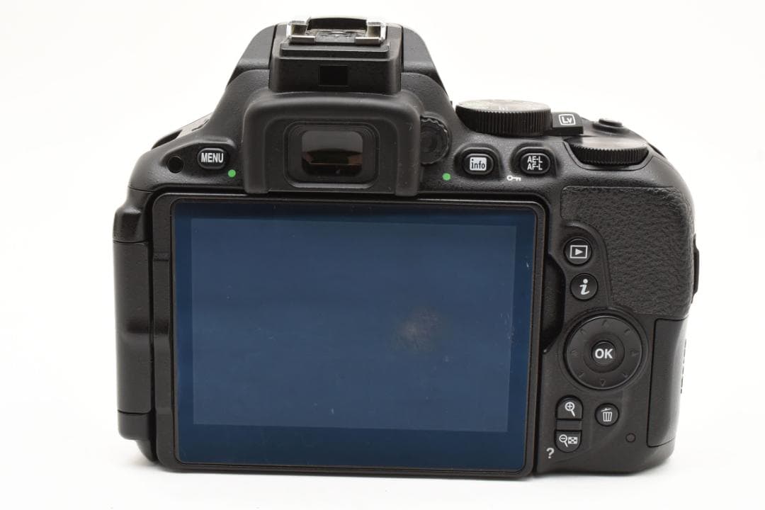 届いてすぐ使えるおまけ付き✨Nikon D5500 ダブルズームセット✨