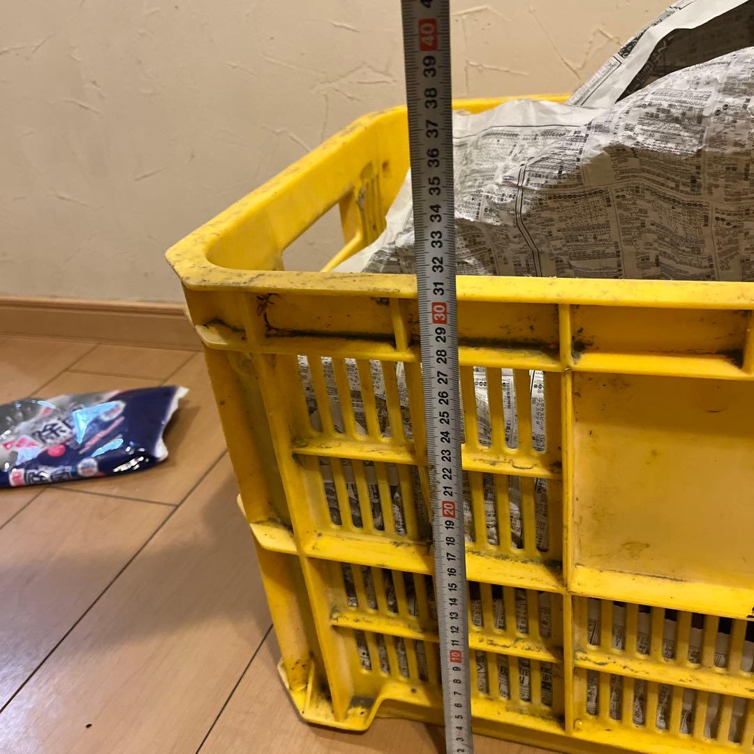 栗　サイズランダム