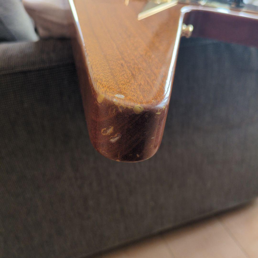 Bacchus　バッカス　bfvシリーズ　フライングV