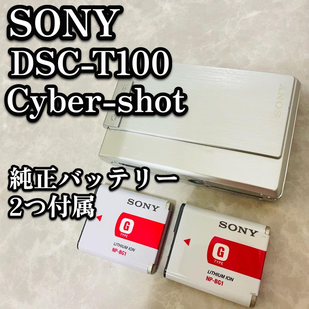 SONY サイバーショット Cyber-shot DSC-T100 バッテリー2