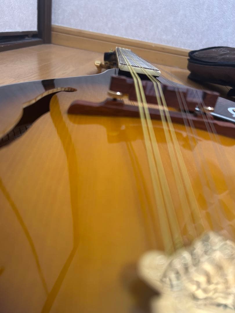 Epiphone マンドリン　マカボニー