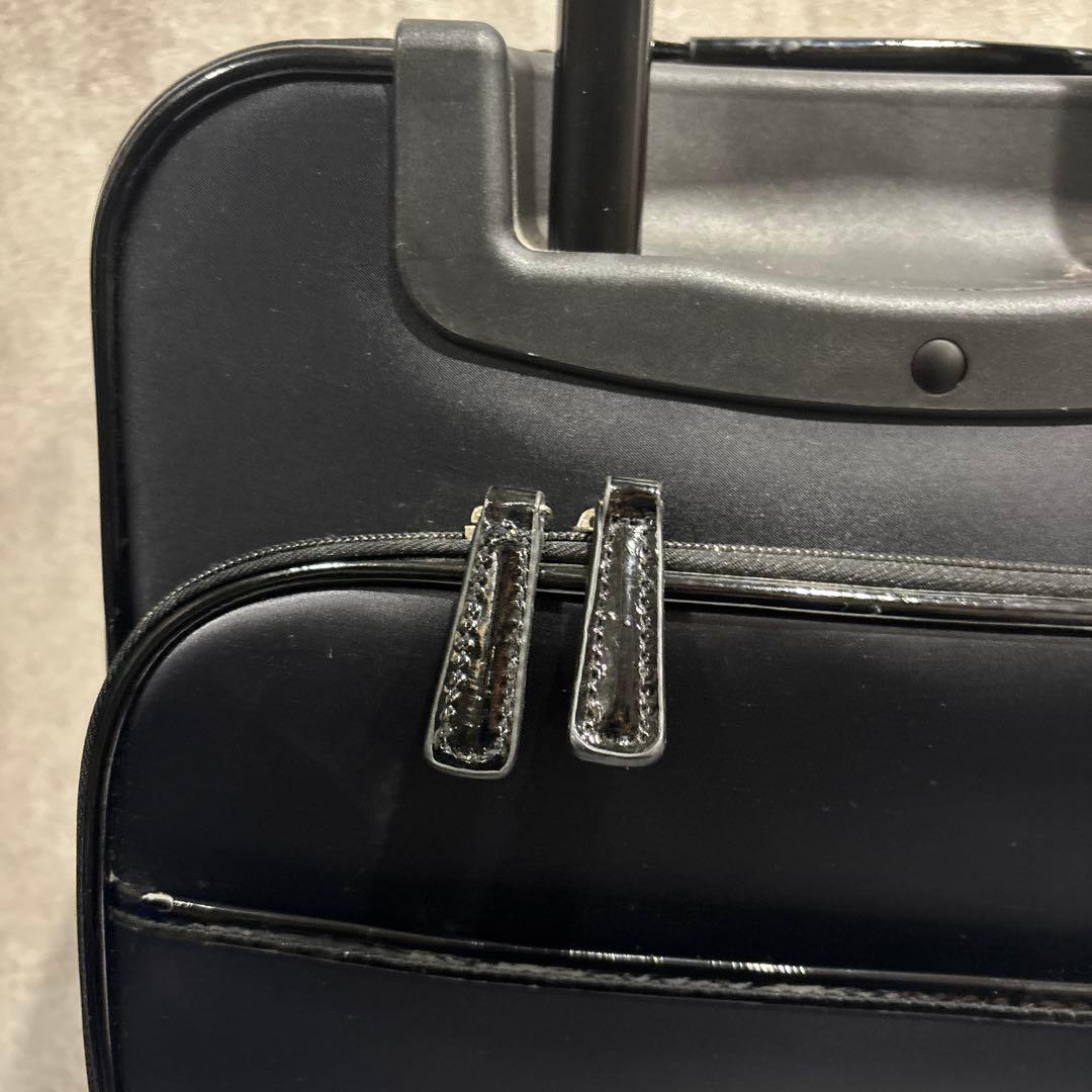 SWANY スワニー Walkin’ Bagキャリーバッグ 鍵・保証書付 美品