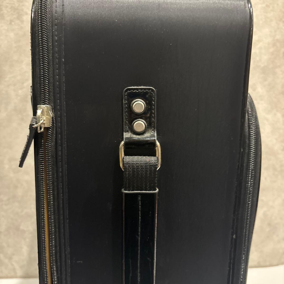 SWANY スワニー Walkin’ Bagキャリーバッグ 鍵・保証書付 美品