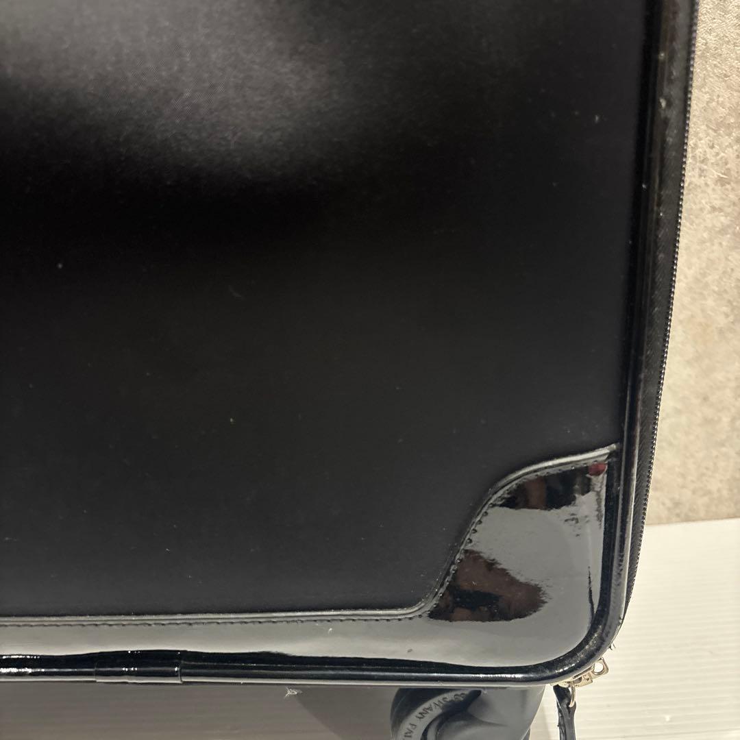 SWANY スワニー Walkin’ Bagキャリーバッグ 鍵・保証書付 美品