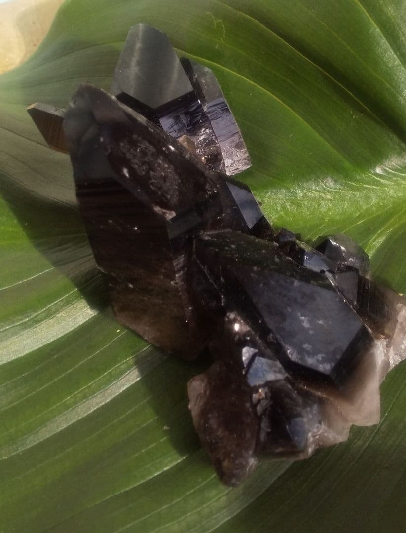 モリオン クラスター アーカンソー州産