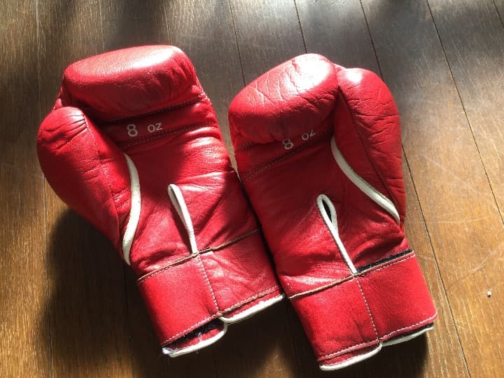 ボクシング グローブ/日本製 /ウィニング 8oz /プロフェッショナルタイプ