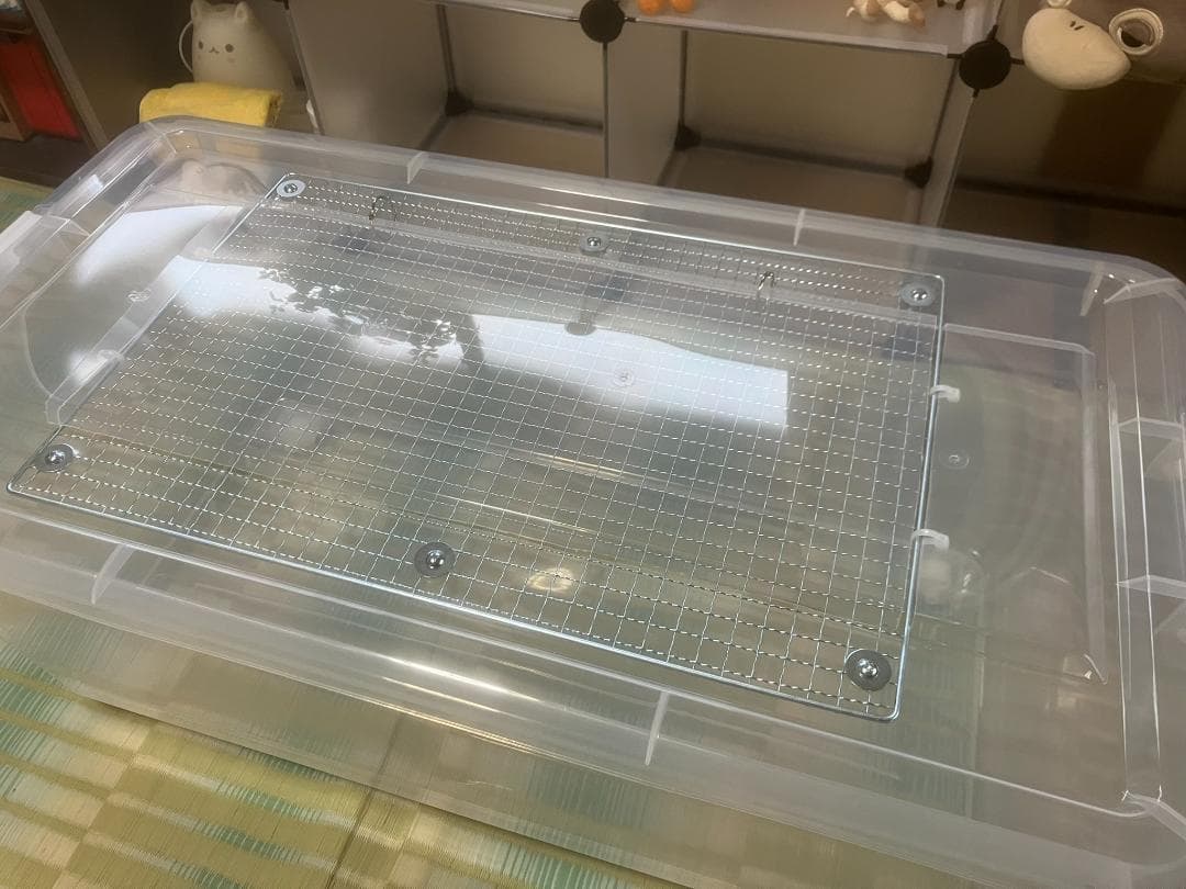 よしちゃん3個セット　⑦広い大きいカブトムシ用飼育ケース【DIY】