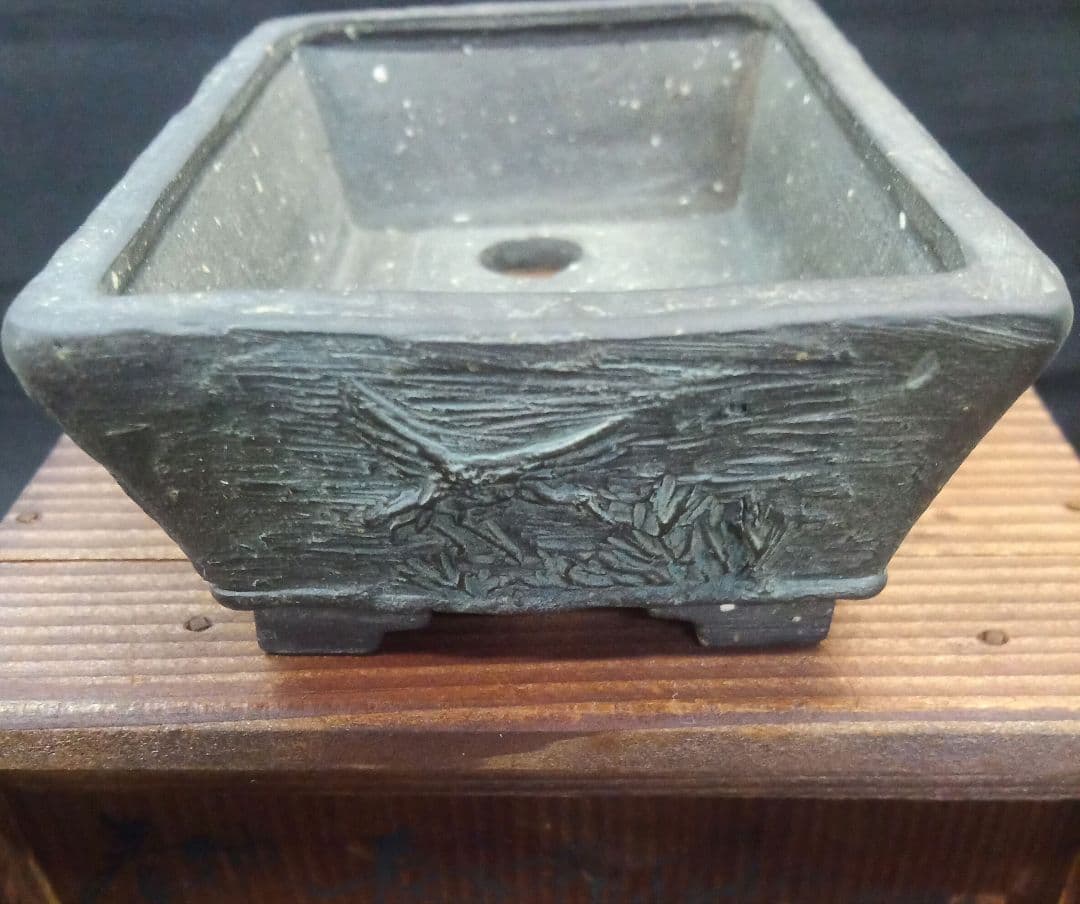 009.【陶翠】春秋/長方樹盆/盆栽鉢/木箱付き