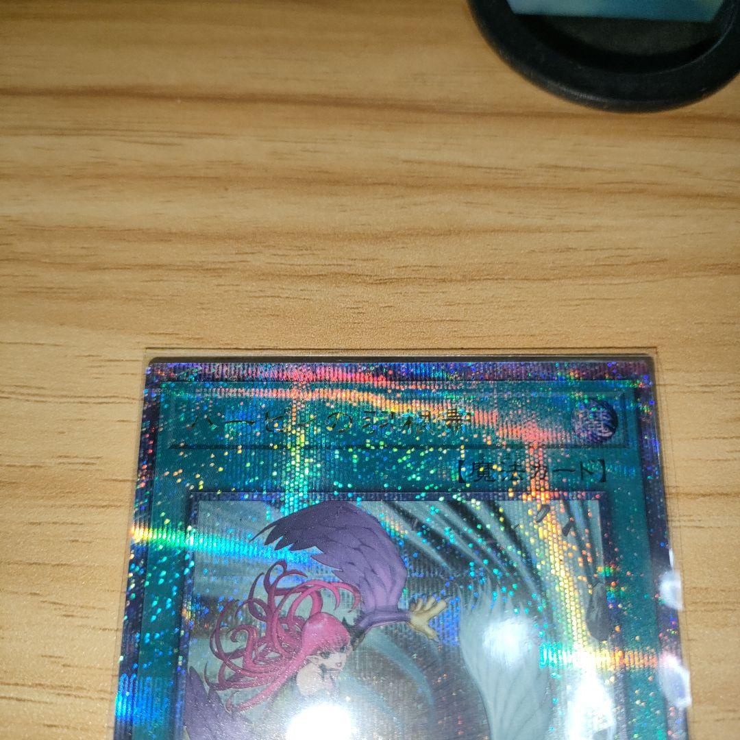 遊戯王　ハーピィの羽根帚　絵違い　25th シークレット