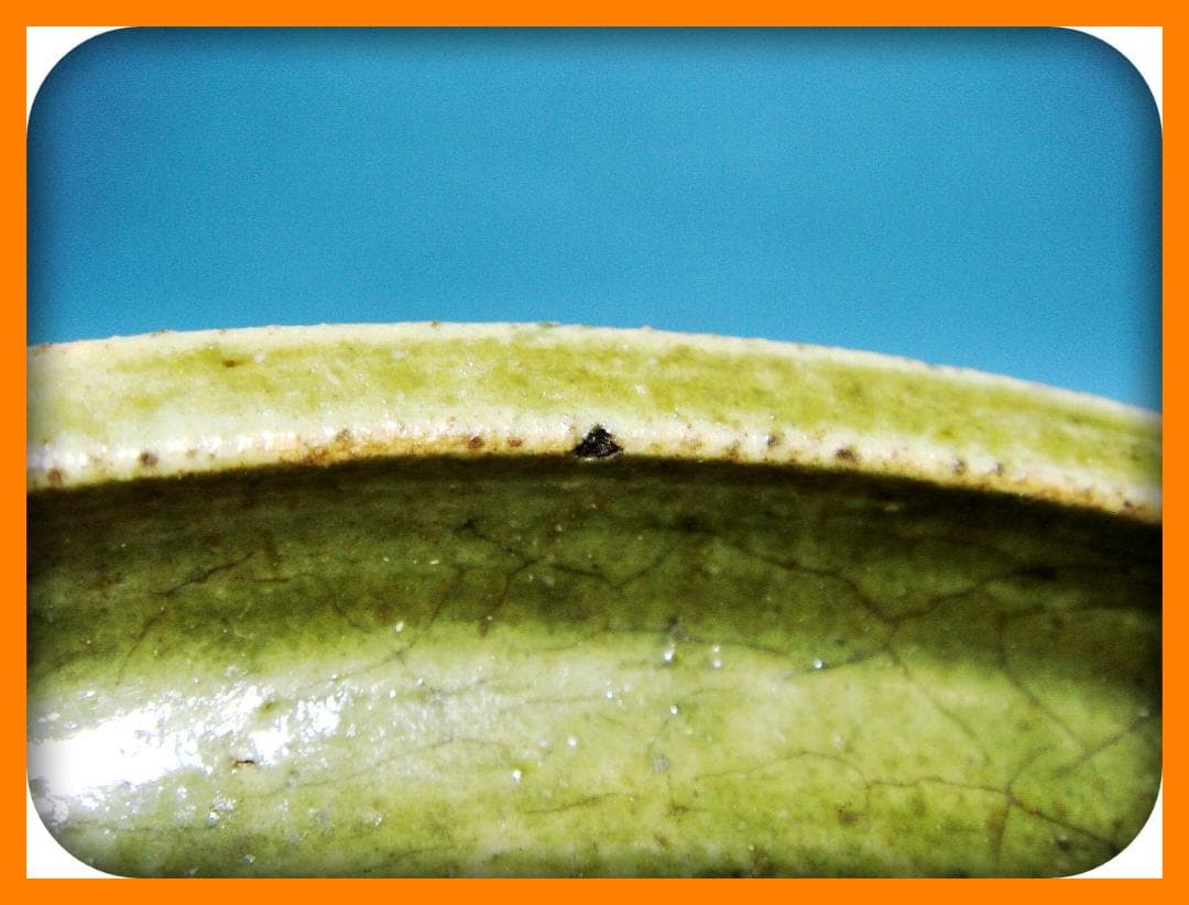 728『織部 菊紋 皿』　/骨董品 古美術 アンティーク 古玩