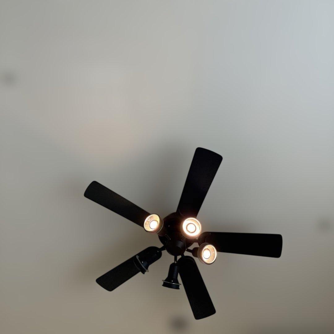 美品　レア　オーデリック　黒ファン　 元値　6万円