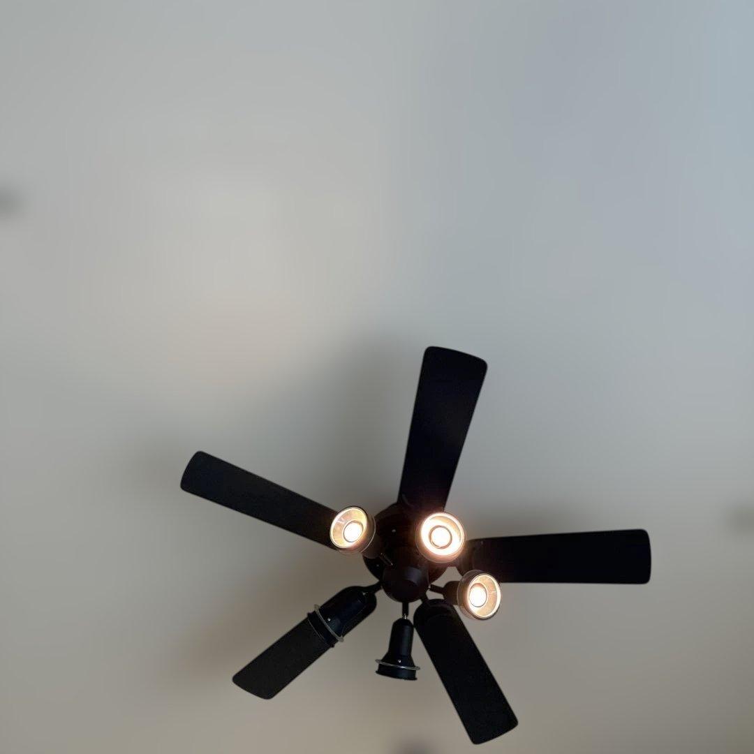 美品　レア　オーデリック　黒ファン　 元値　6万円