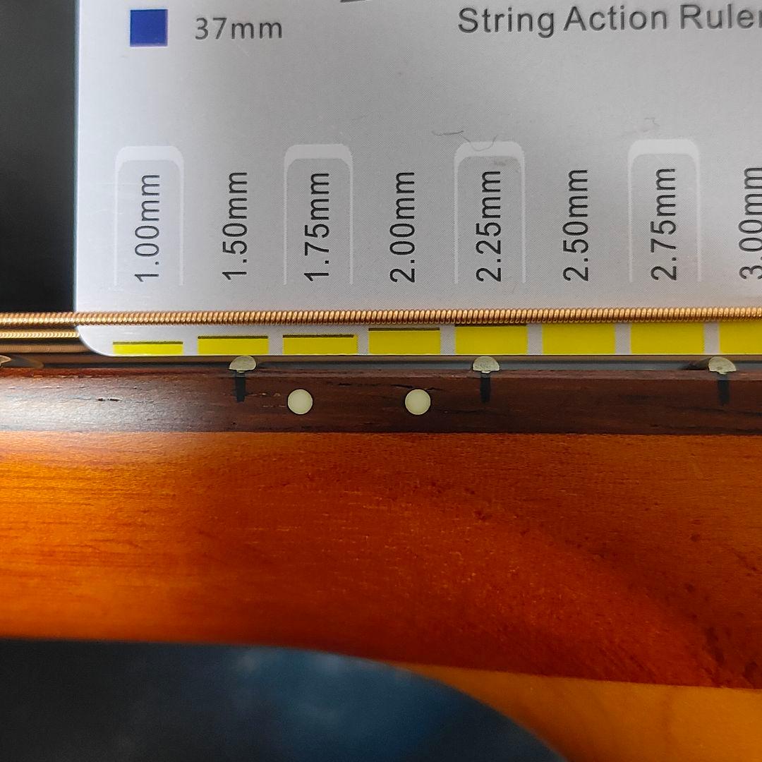 YAMAHA ヤマハ サイレントギター SLG110S 専用ケース付