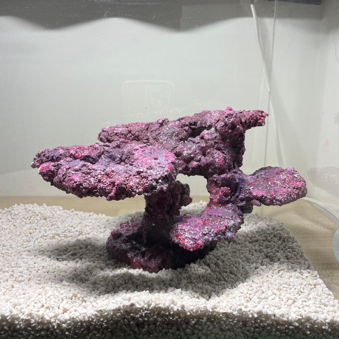 人工ライブロック　SHR23 アク抜き済み安心塗料使用