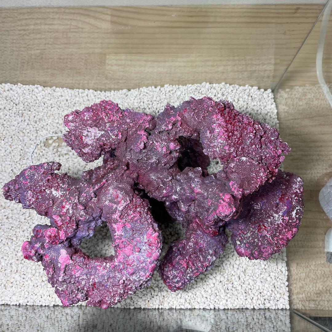 人工ライブロック　SHR23 アク抜き済み安心塗料使用