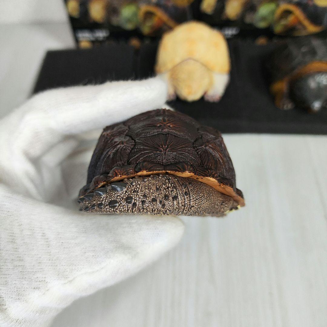 【動物の惑星】★激レア★第1弾亀廃盤品ワニガメ+カミツキガメ!! フィギュア