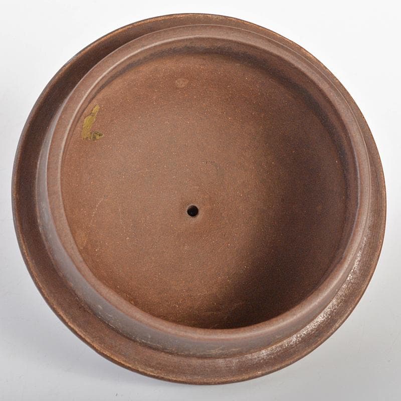 中国　紫砂　朱泥　急須　茶壷　在銘　M　R6870