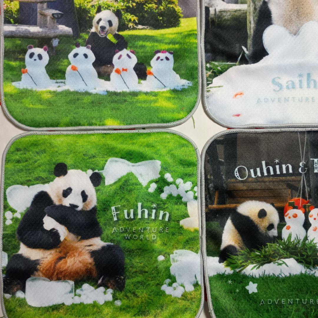 アドベンチャーワールド　先行ガチャ　パンダ ミニタオル 　6枚コンプリート