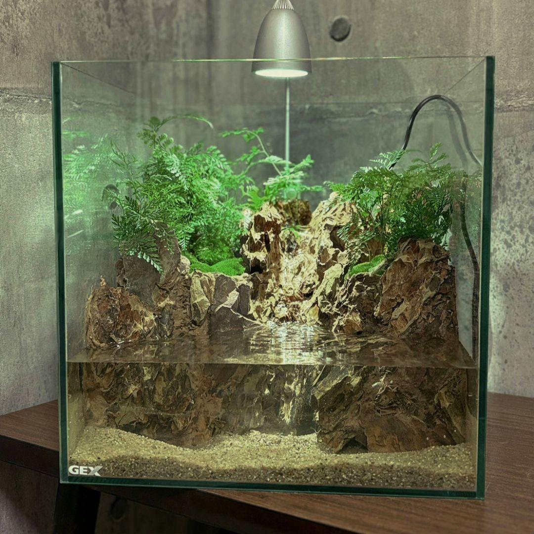 滝の流れるアクアテラリウム　No.1144