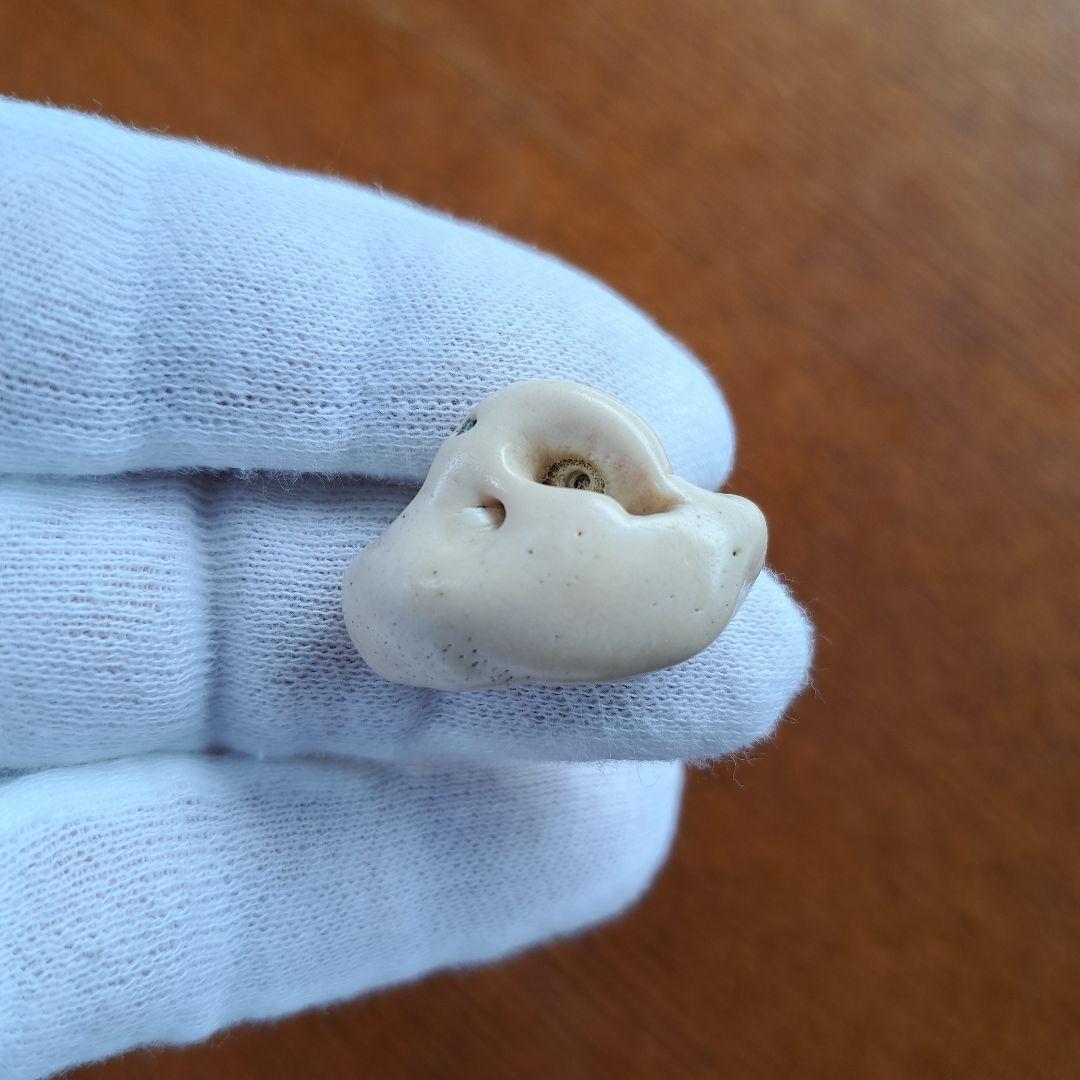 イルカの耳骨【大きさ2.8㎝】